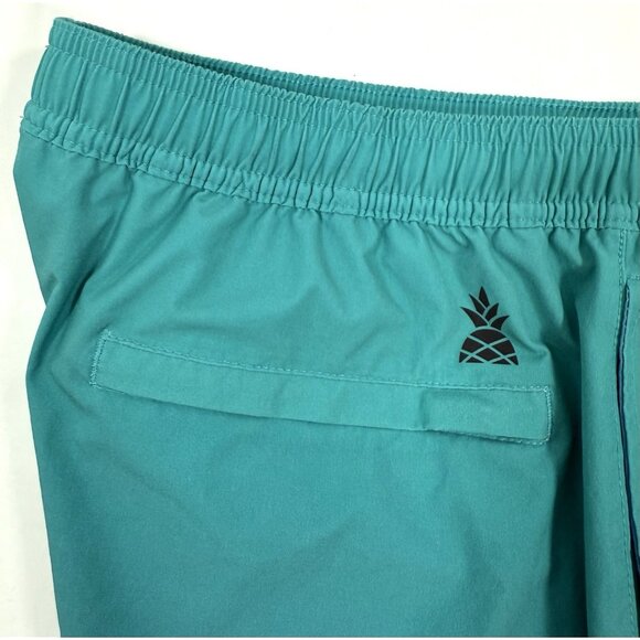 Chubbies Mens Shorts Size Large 5.5" Inseam Lined Brief Liner Athletic Hybrid - Picture 10 of 16